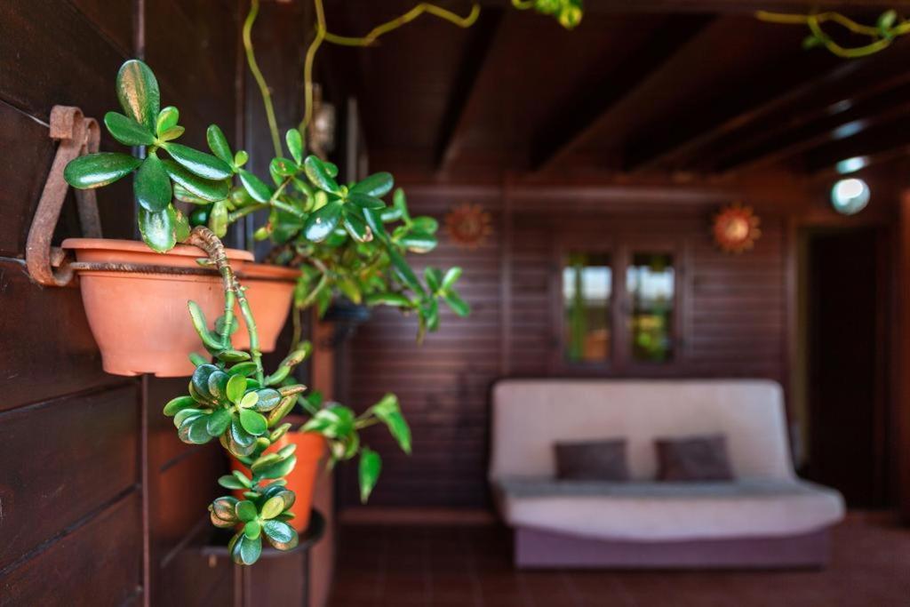 Appartamento Casa Orymar Cotillo Esterno foto